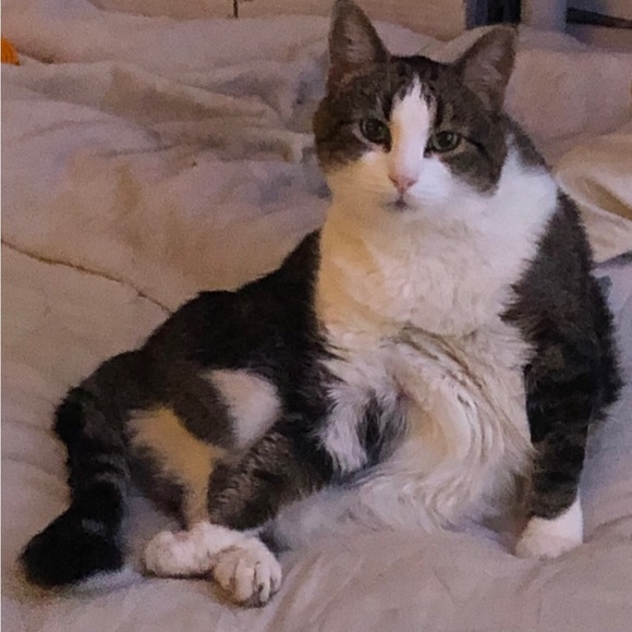 Hi! Thank you for visiting Shadowspond 😊😊😊 - Picture 16 of 16